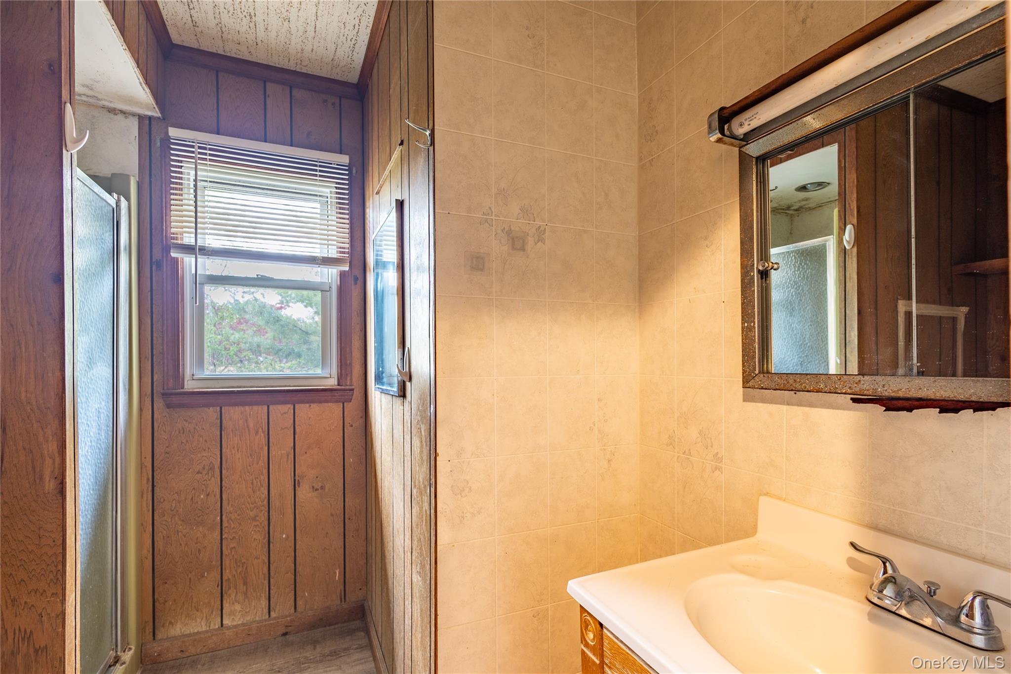 20 Olympia Street Property Photo 19