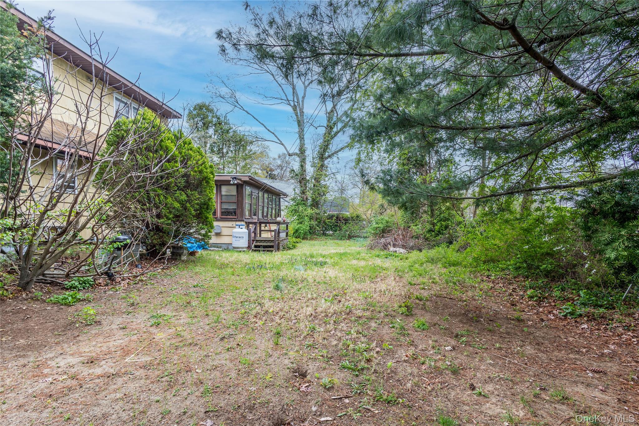 20 Olympia Street Property Photo 22