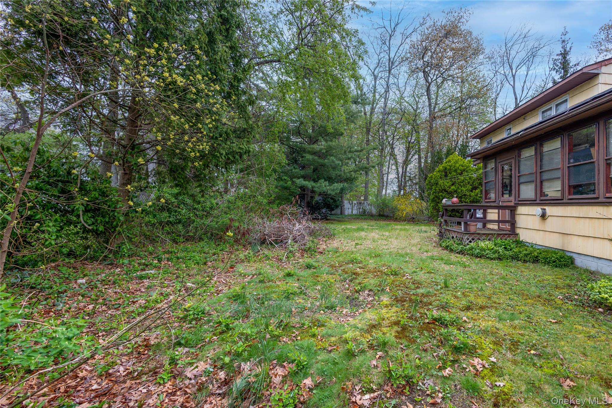 20 Olympia Street Property Photo 23