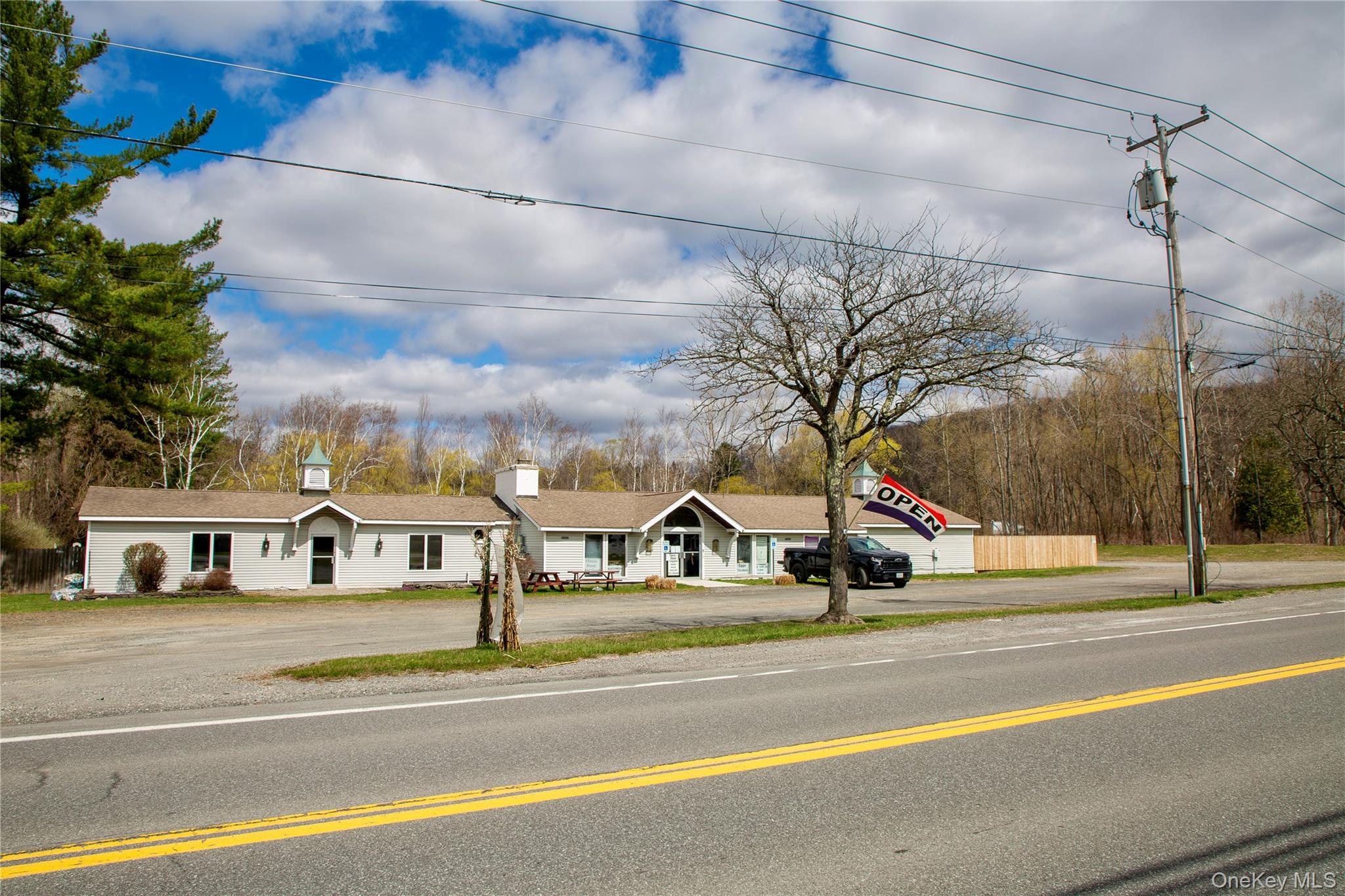 3815-3817 Route 44 Property Photo 1