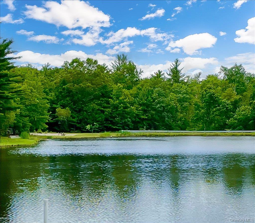 50 Meghan Court Property Photo 6