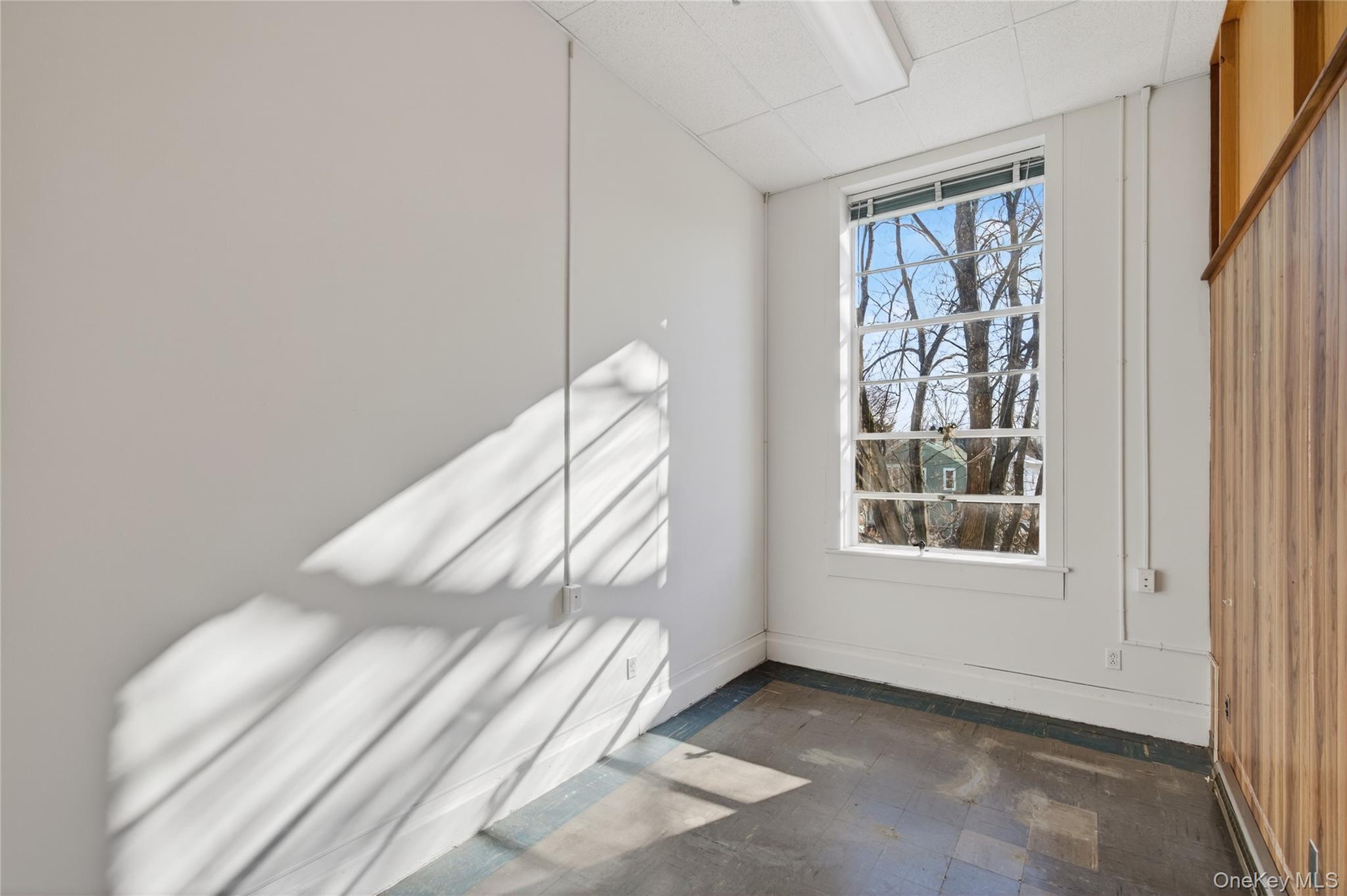 61 Crown Street Property Photo 12