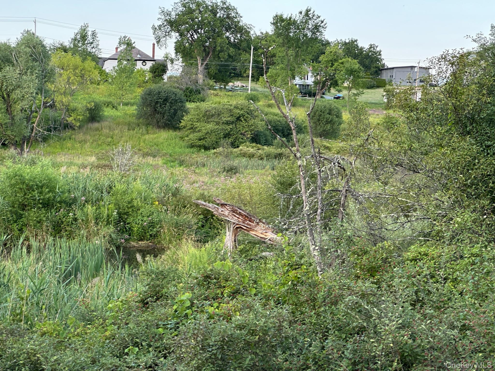 49 Veterans Road Property Photo 12