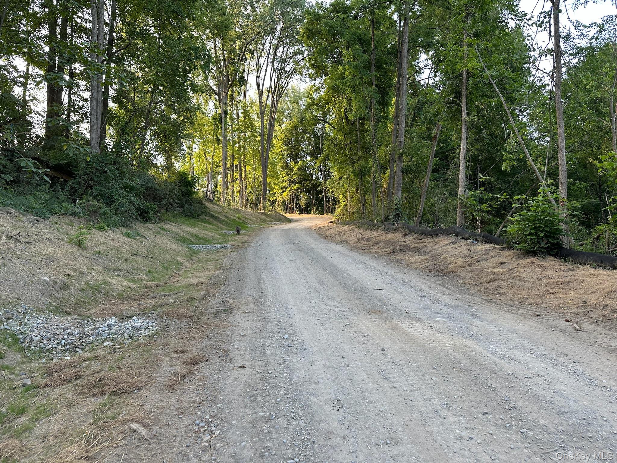 49 Veterans Road Property Photo 15