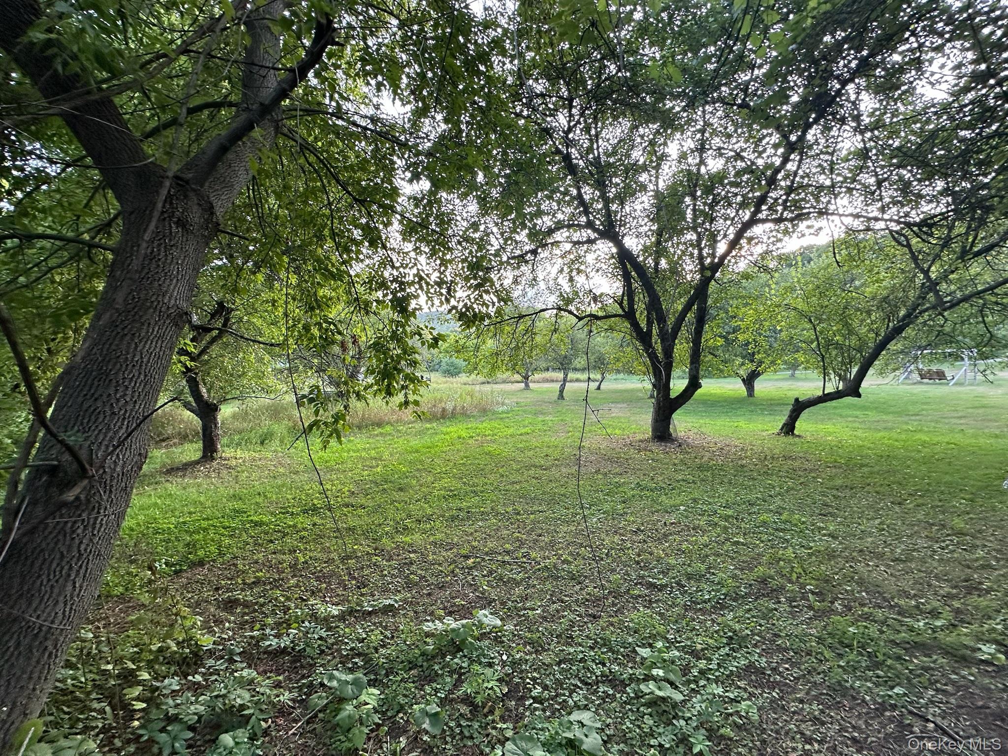 49 Veterans Road Property Photo 28