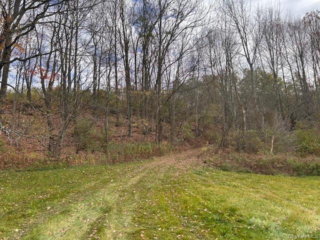 480 County Highway 37 County Highway 37 Highway Property Photo 17