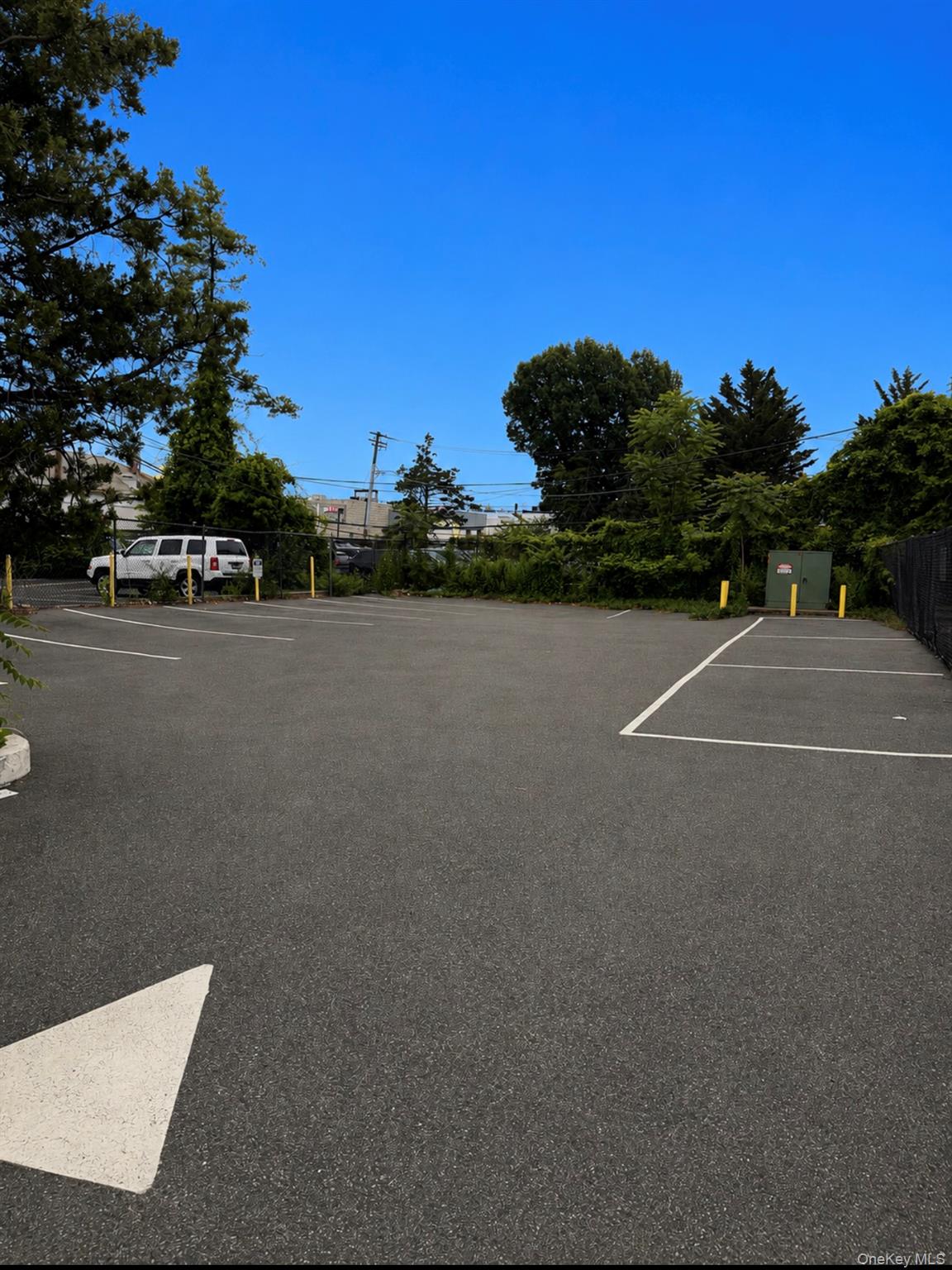 19 Morris Avenue Property Photo 8
