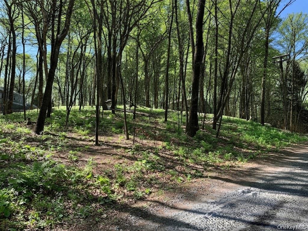 Lakeview Drive Property Photo 1