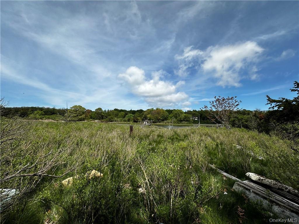 1775 Naugles Drive Property Photo 3