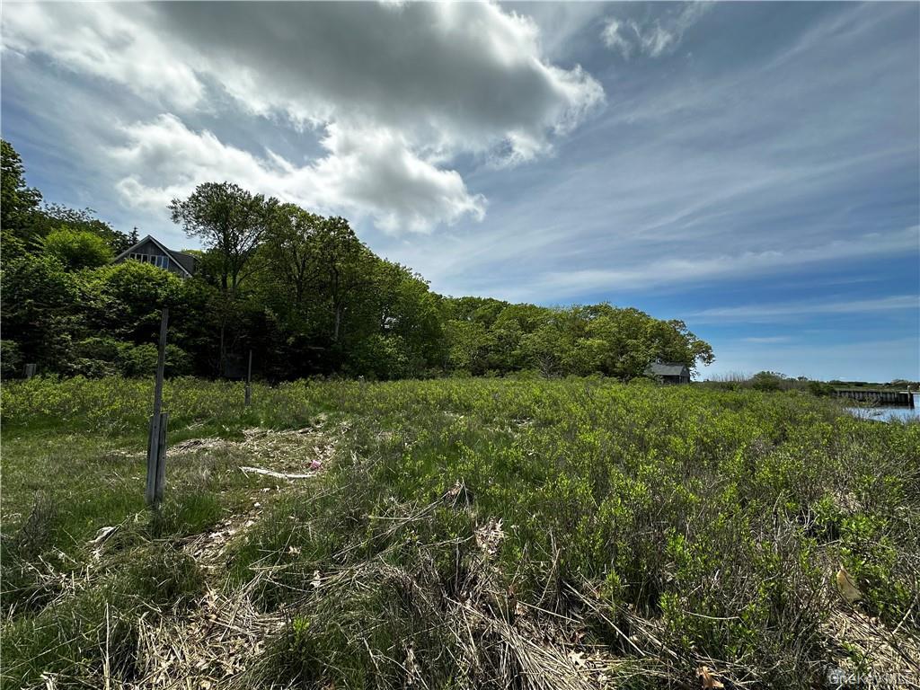 1775 Naugles Drive Property Photo 4