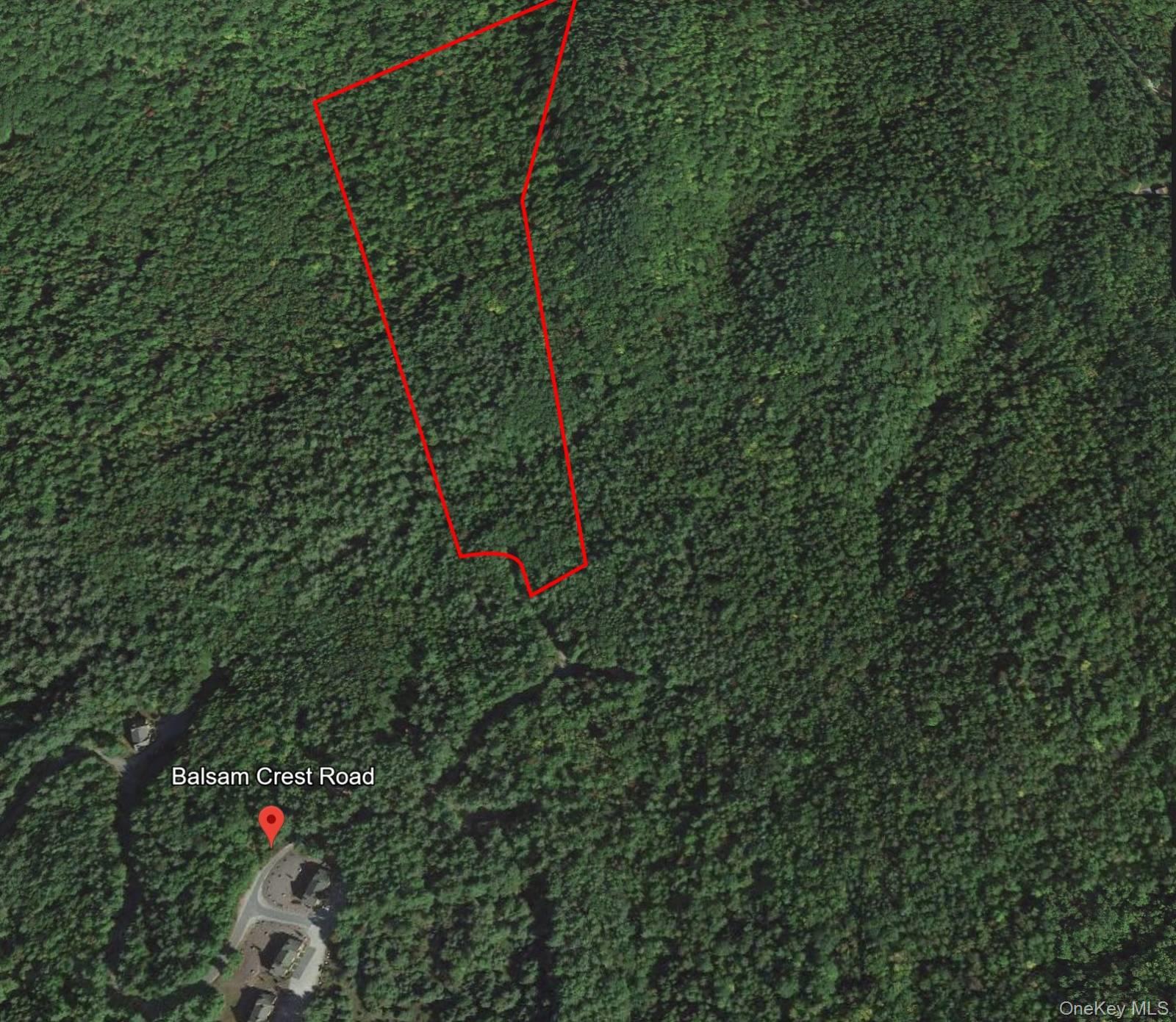 L173 Balsam Crest Road Property Photo 4