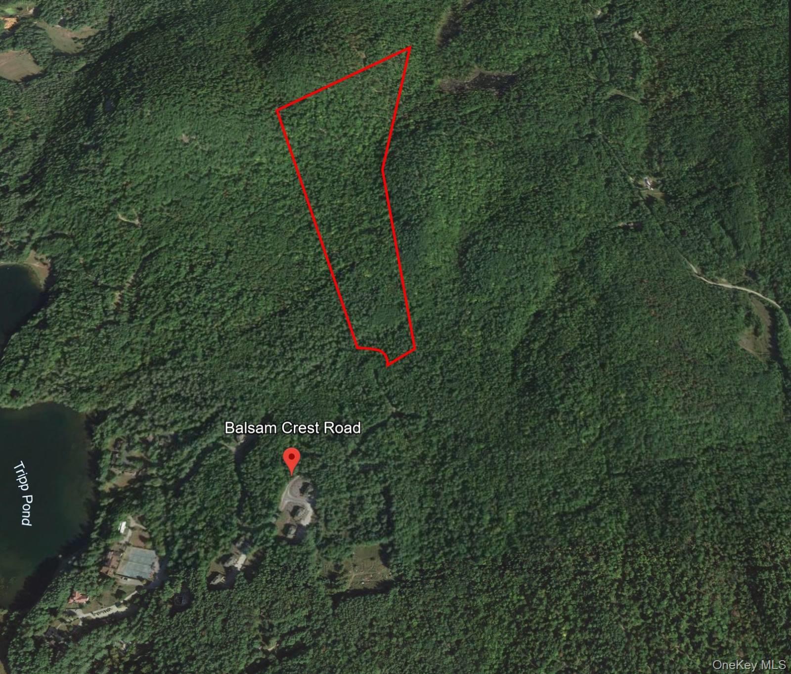 L173 Balsam Crest Road Property Photo 5