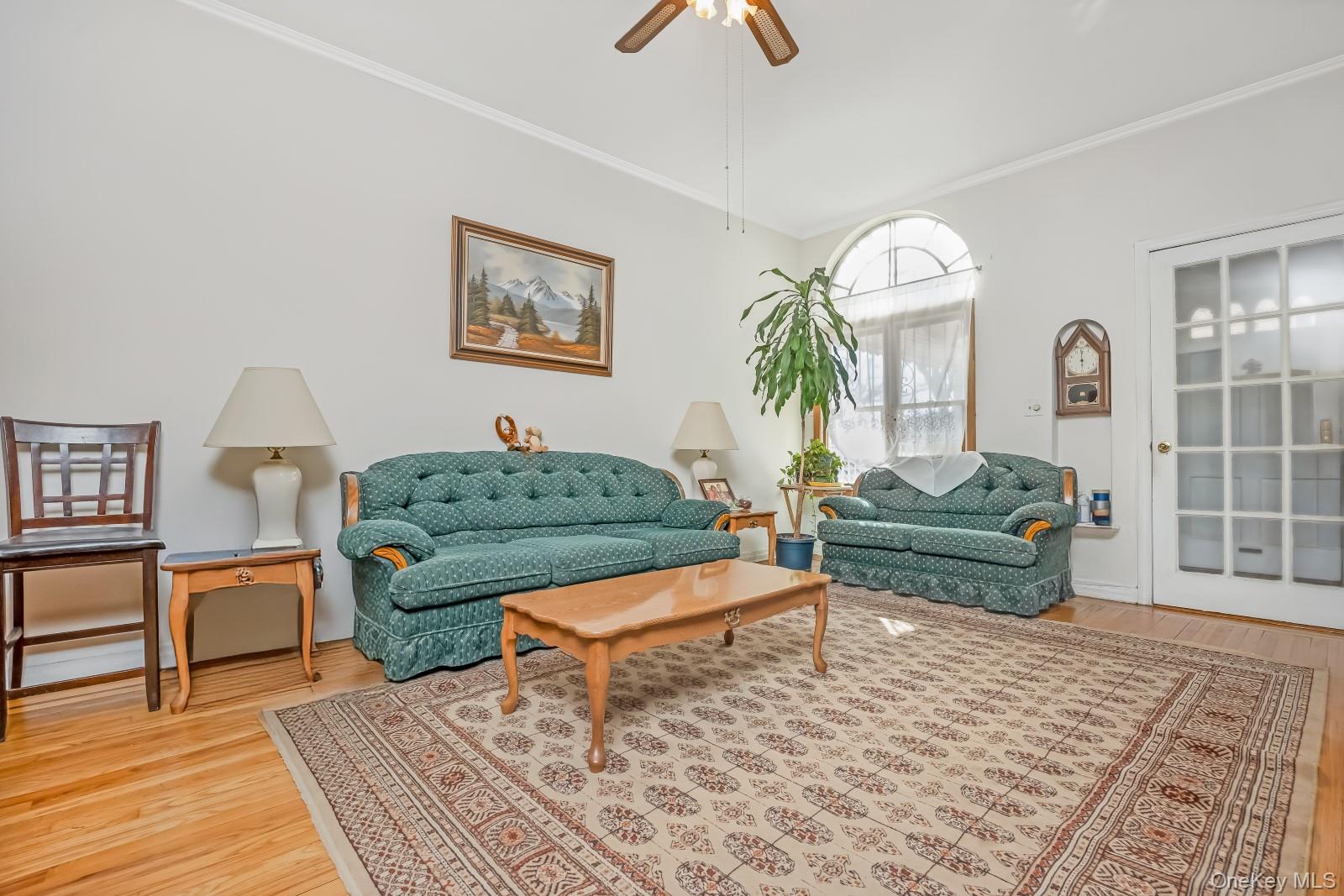 58-43 81st Street Property Photo 3
