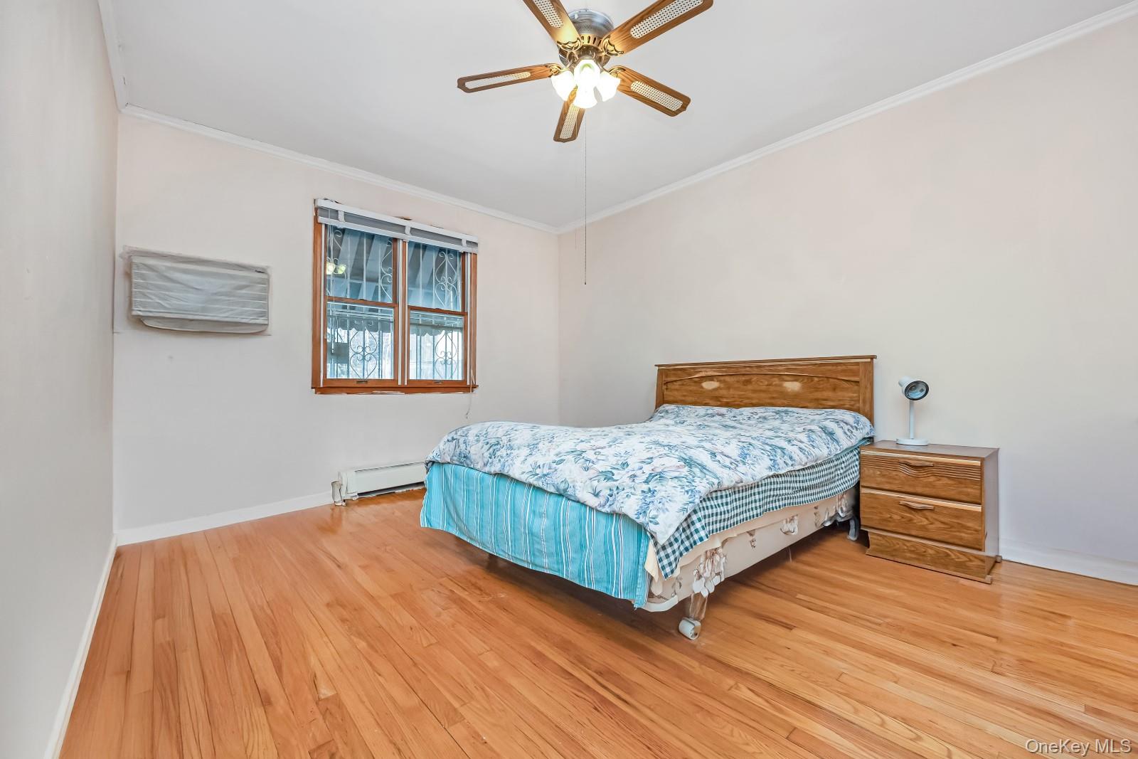 58-43 81st Street Property Photo 8