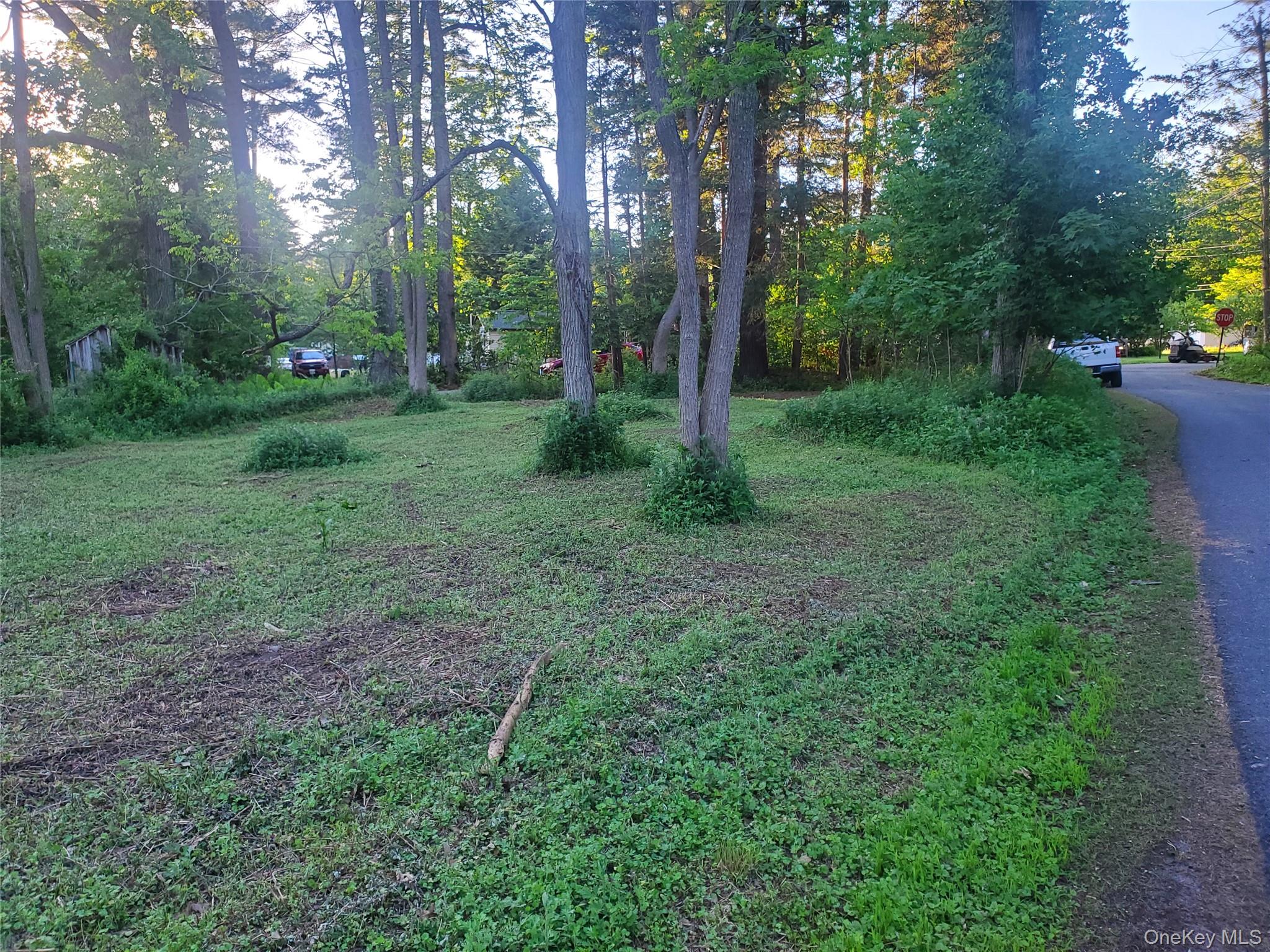 6-8 Grove Street Property Photo 3