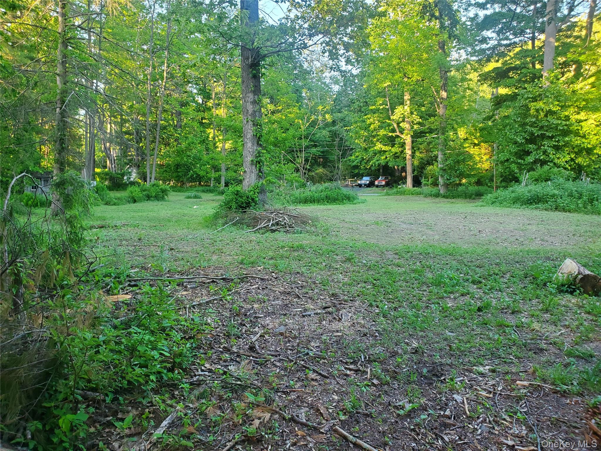 6-8 Grove Street Property Photo 5