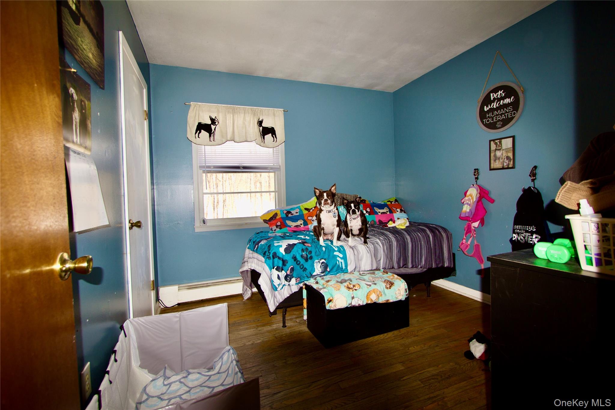 182 Downing Road Property Photo 12