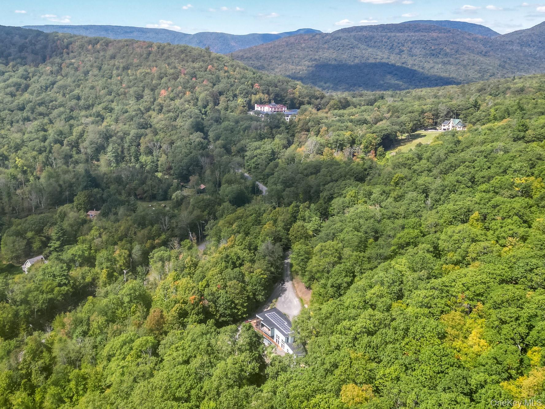 306 Meads Mountain Road Property Photo 2
