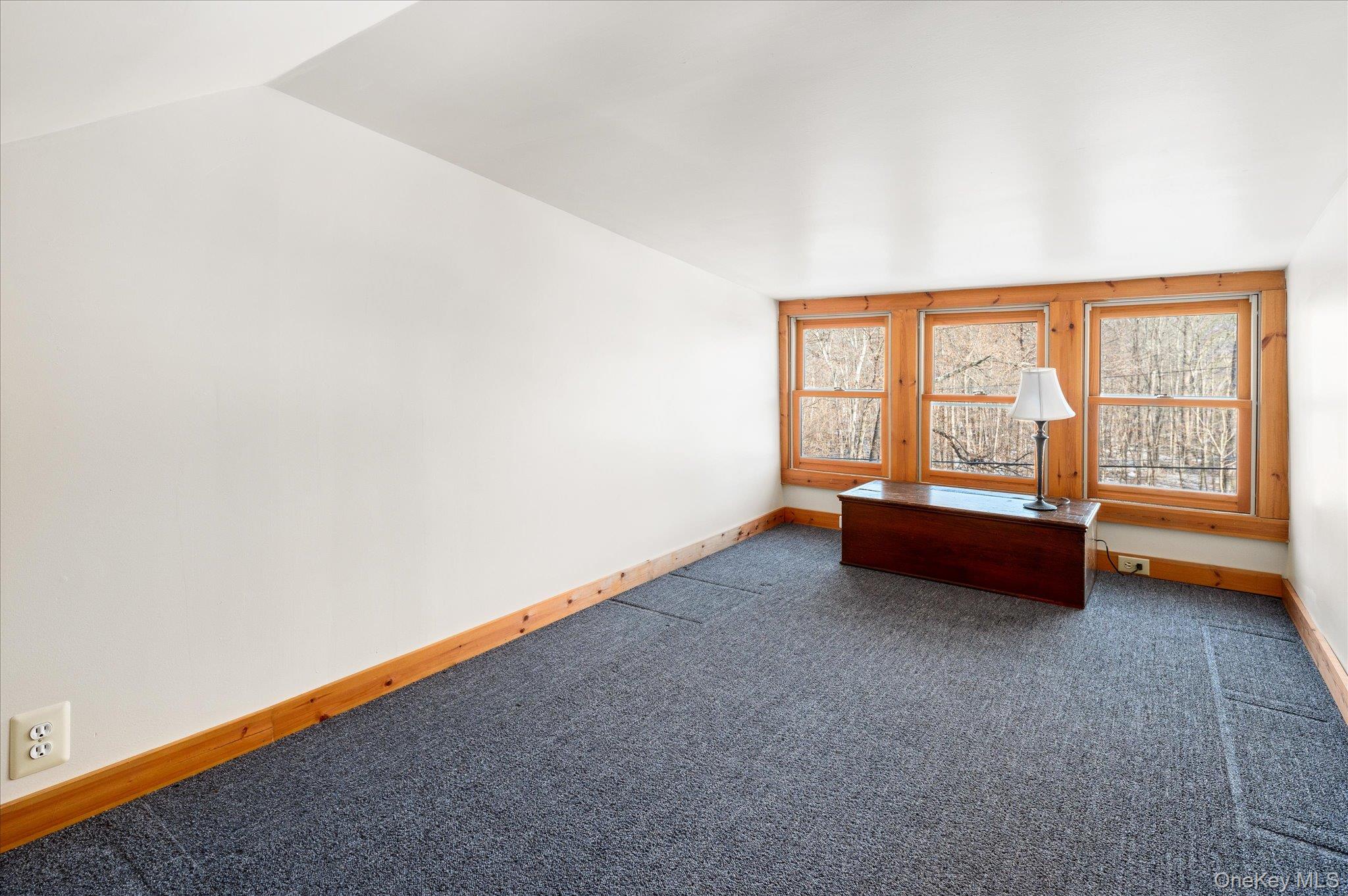 47 Tonetta Lake Way Property Photo 28