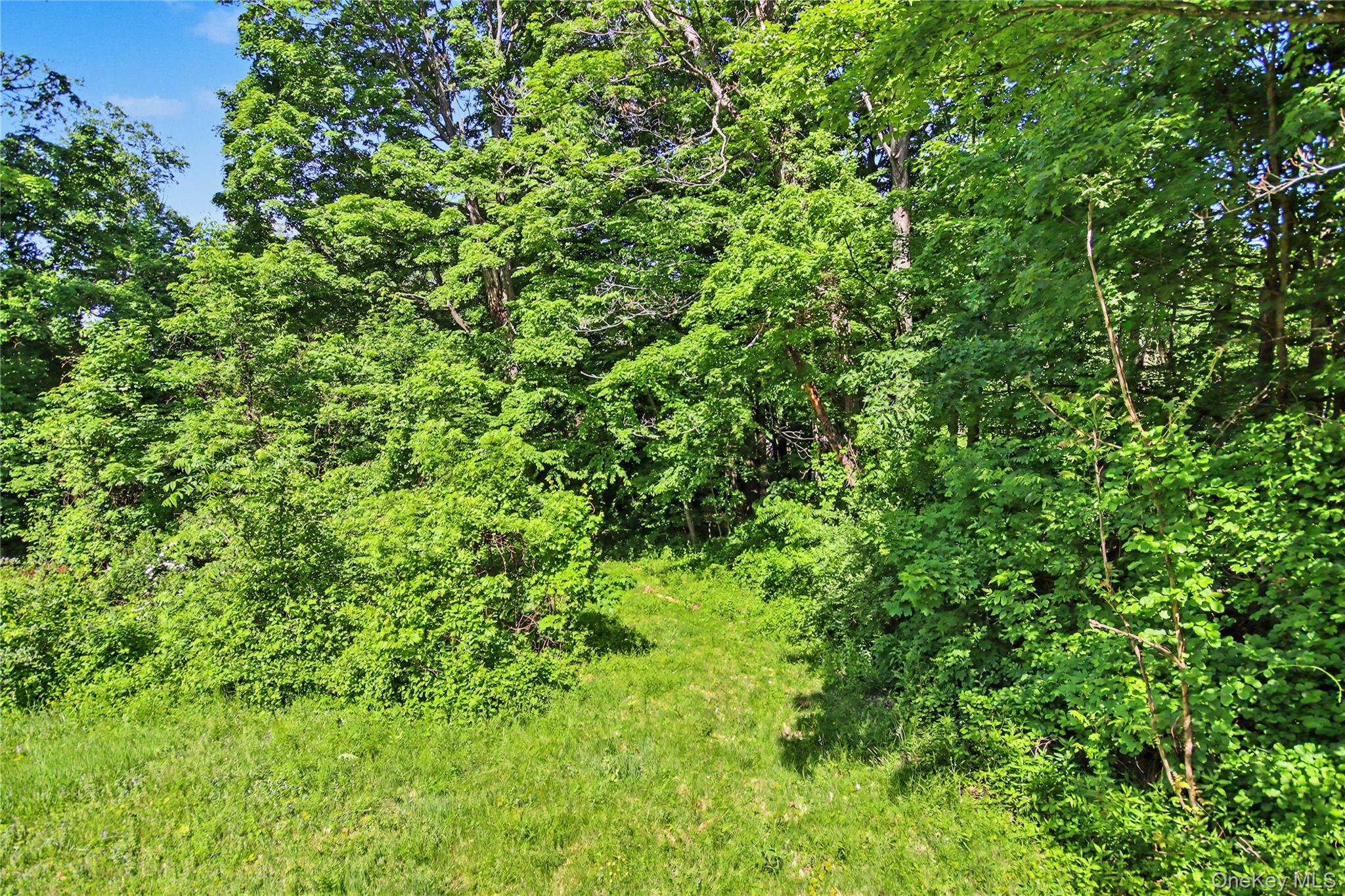 137 Lookout Pass Property Photo 40