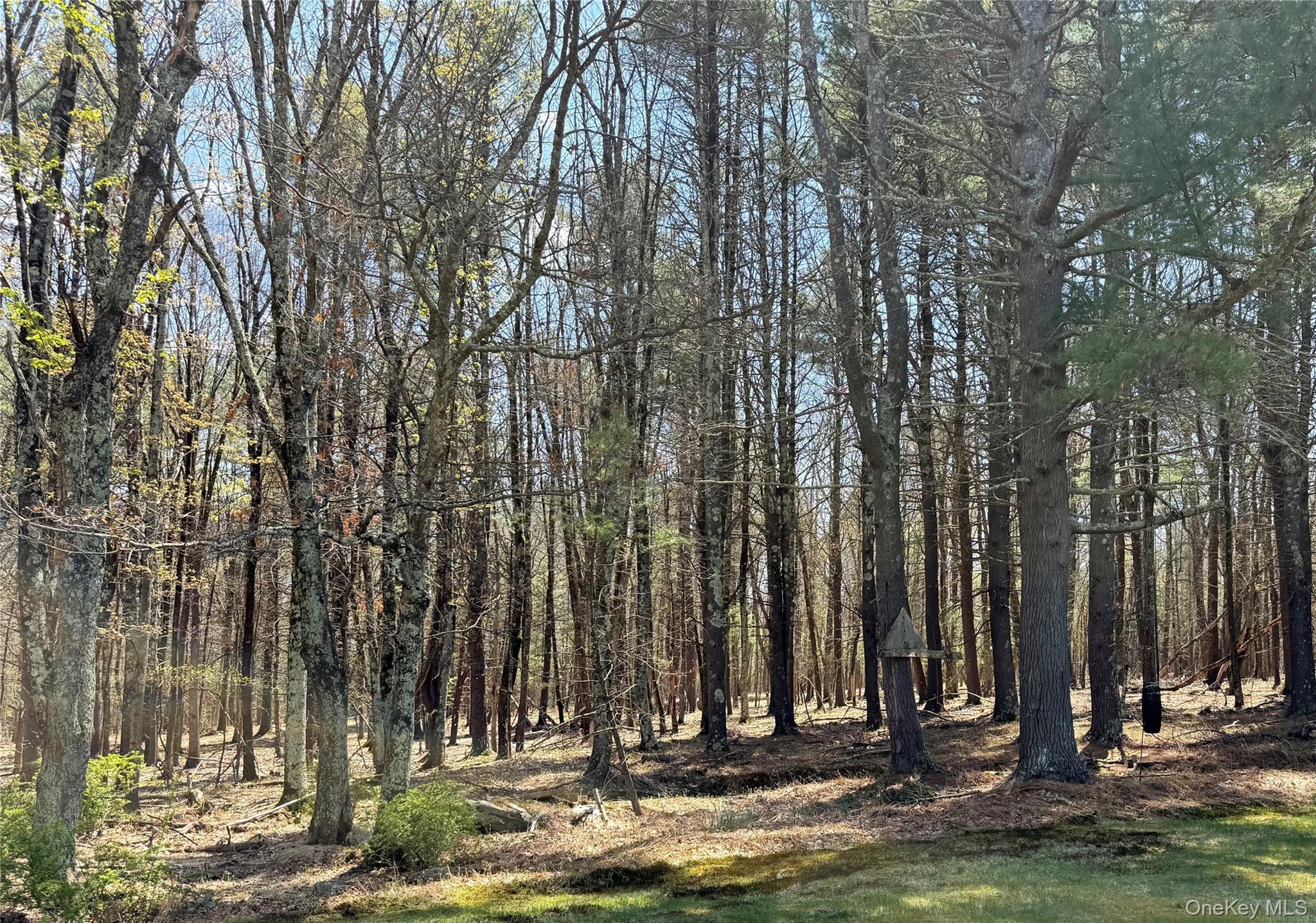 Lot 20.8 Airport Road Property Photo 3