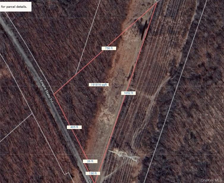 Lot 372686 Rt-376 Property Photo 4