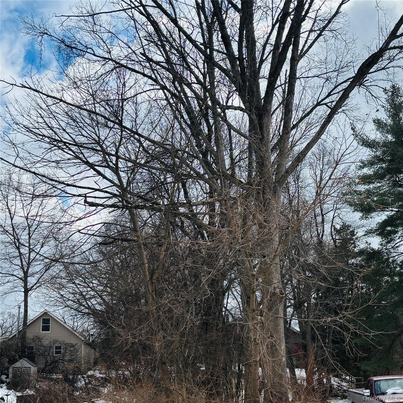 Between 229 And 231 Westchester Avenue Property Photo 3