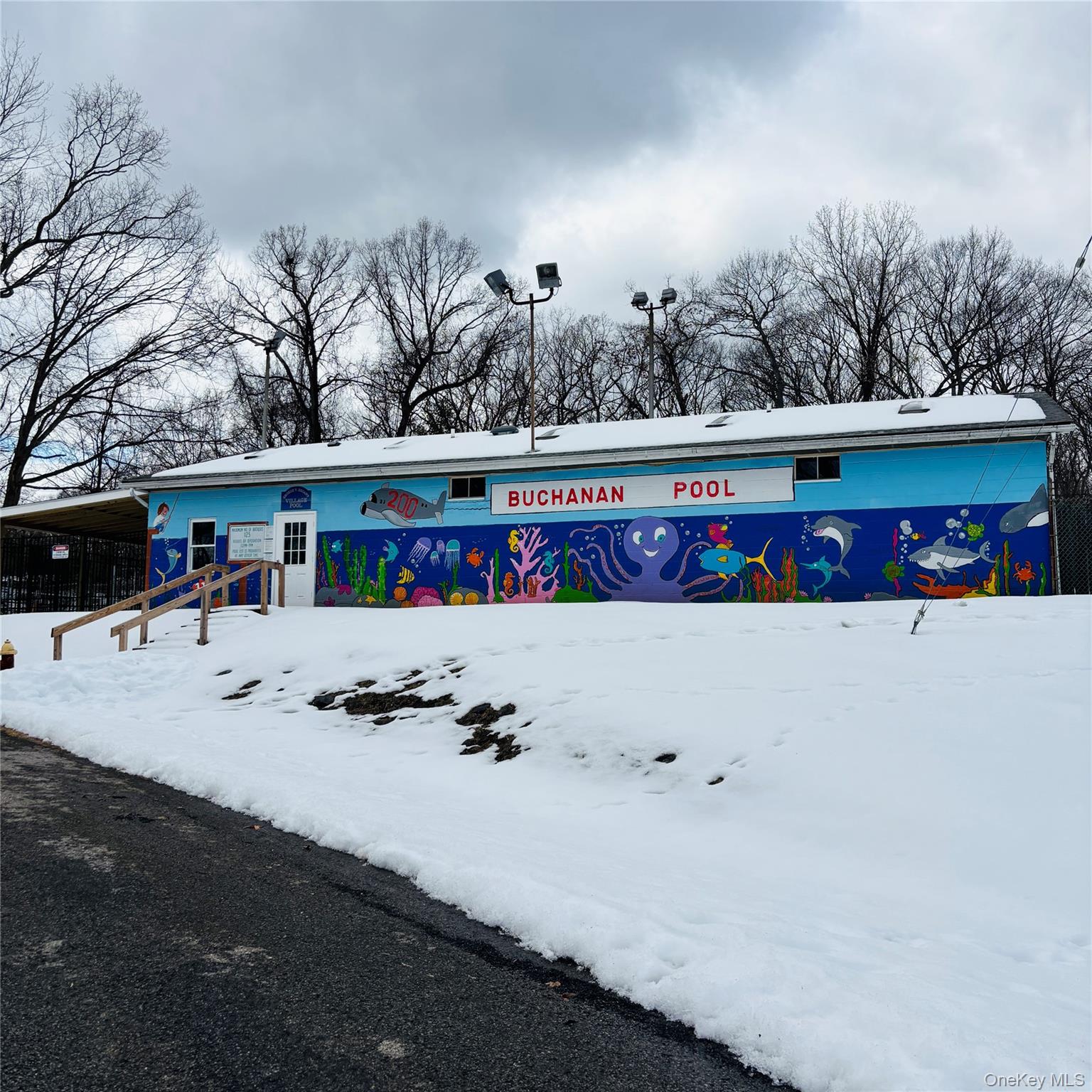 Between 229 And 231 Westchester Avenue Property Photo 8