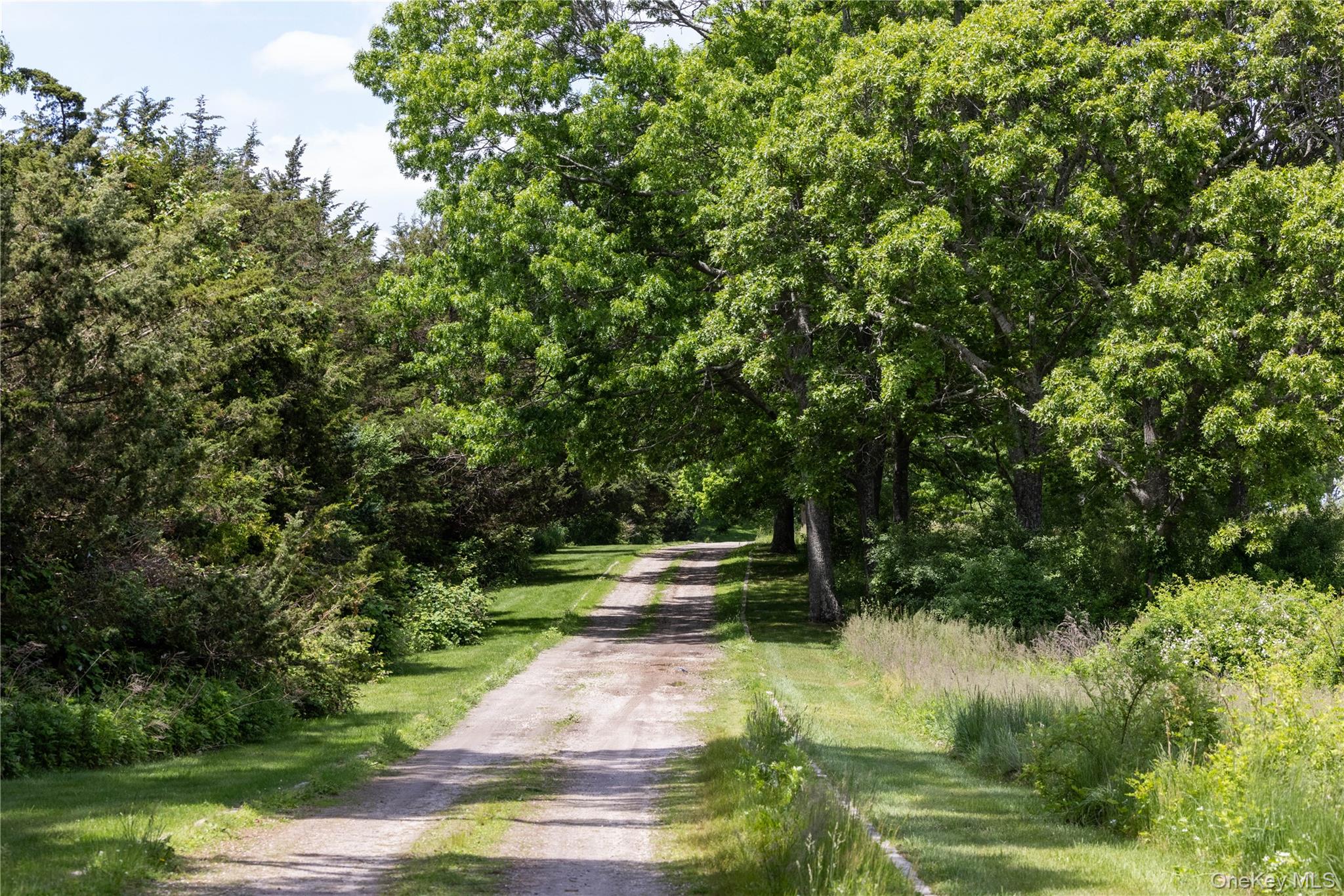 2840 Stars Road Property Photo 5
