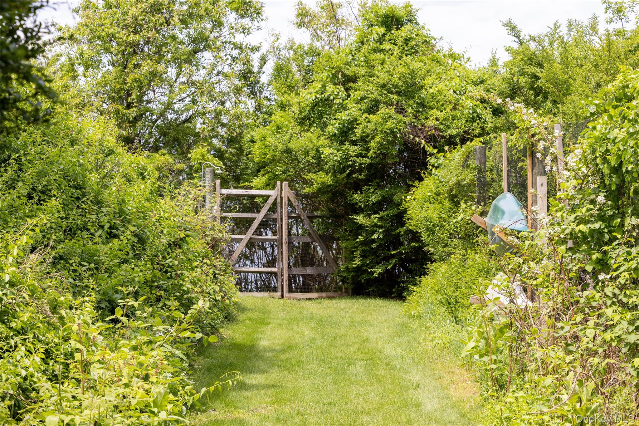 2840 Stars Road Property Photo 22