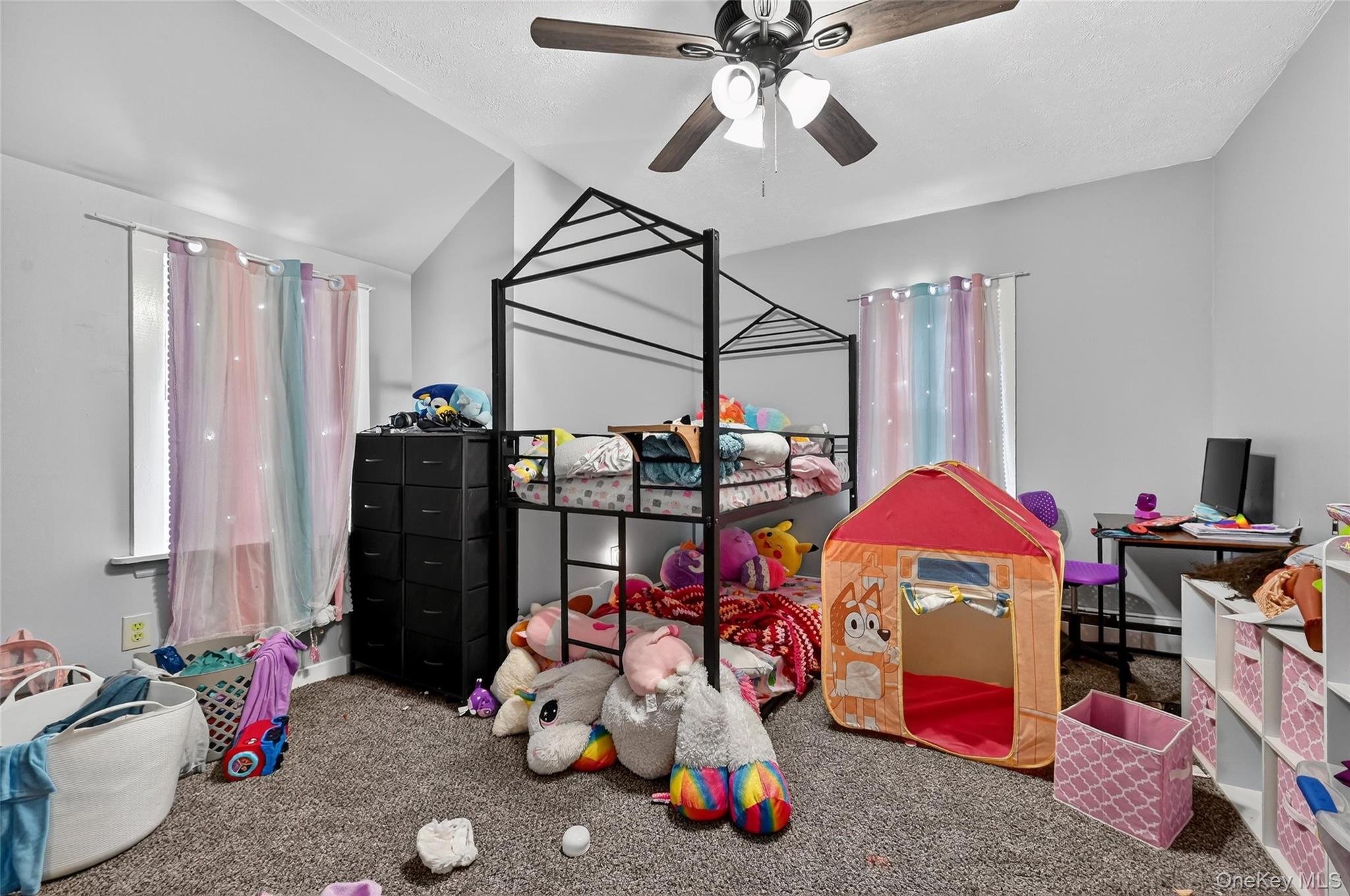 21 Nevins Street Property Photo 14