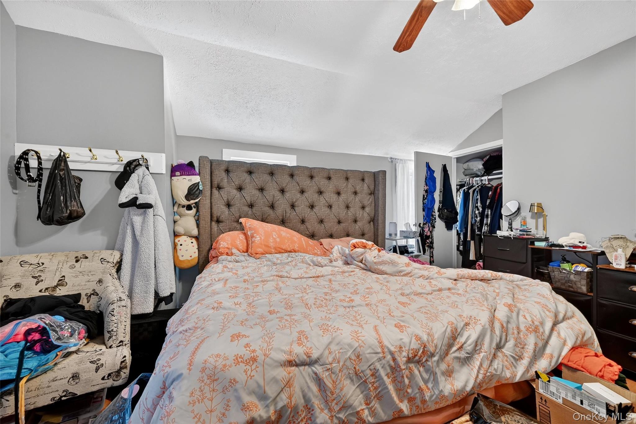 21 Nevins Street Property Photo 15