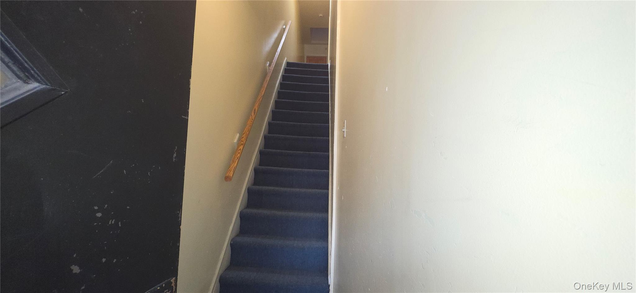 65-12 Myrtle Avenue Property Photo 26