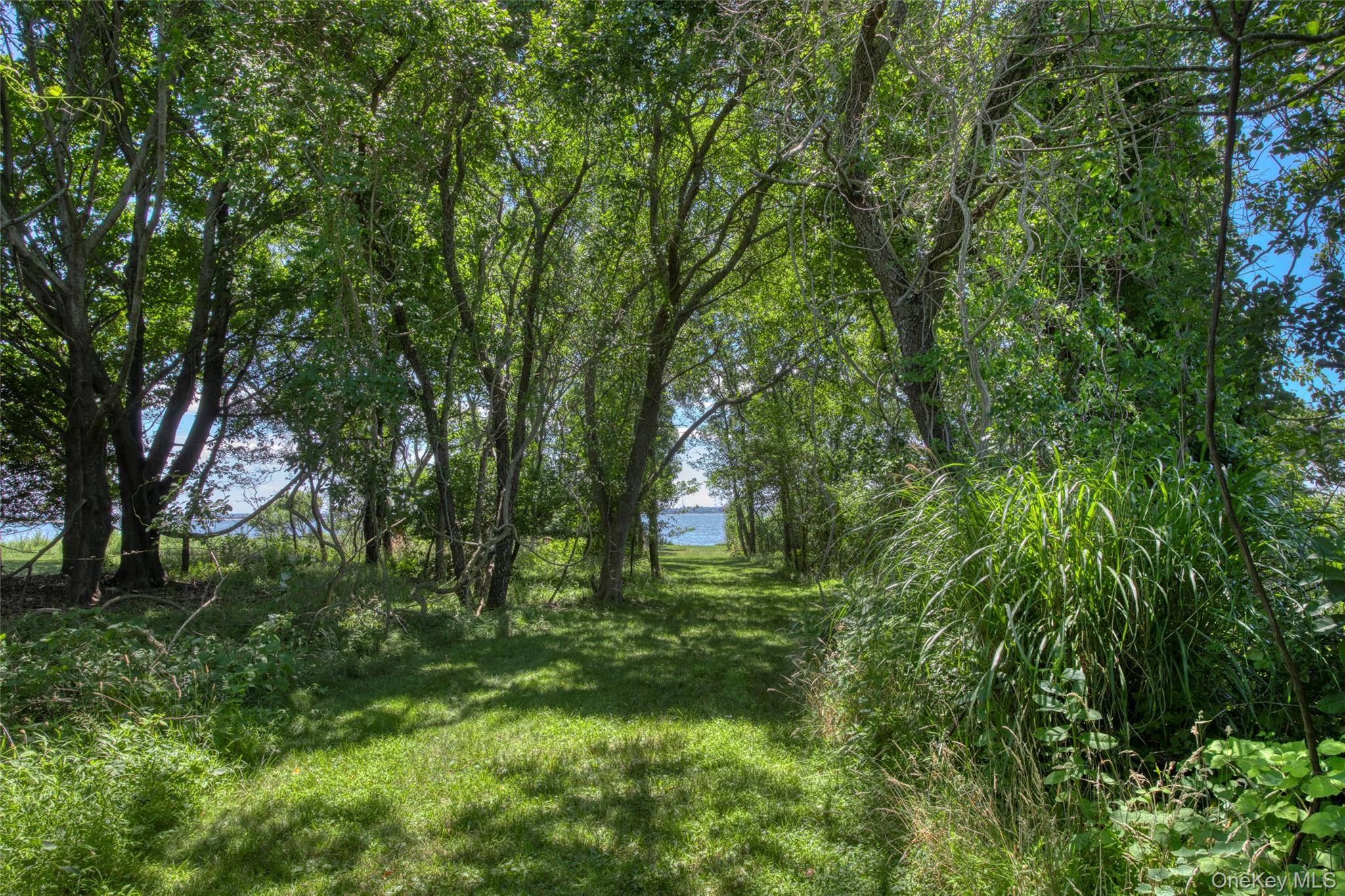 1600 King Street Property Photo 30
