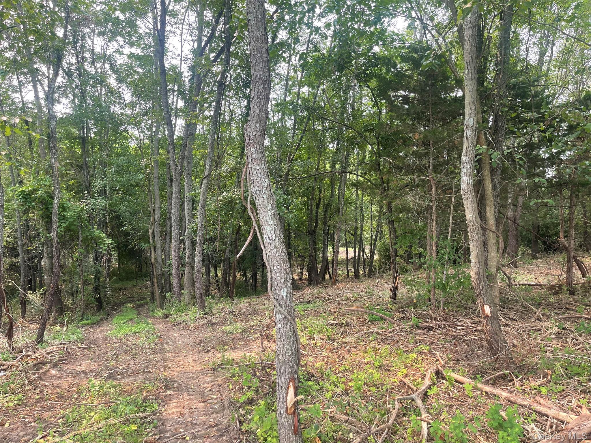 Bells Pond Road Property Photo 3