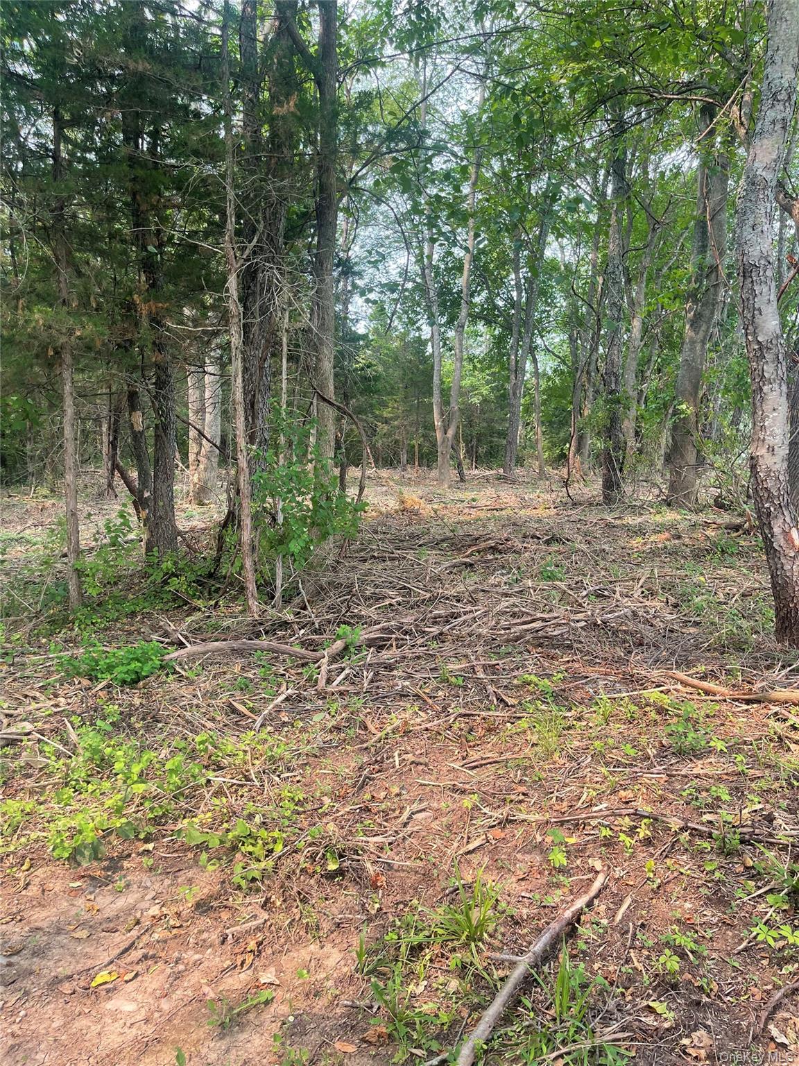 Bells Pond Road Property Photo 4