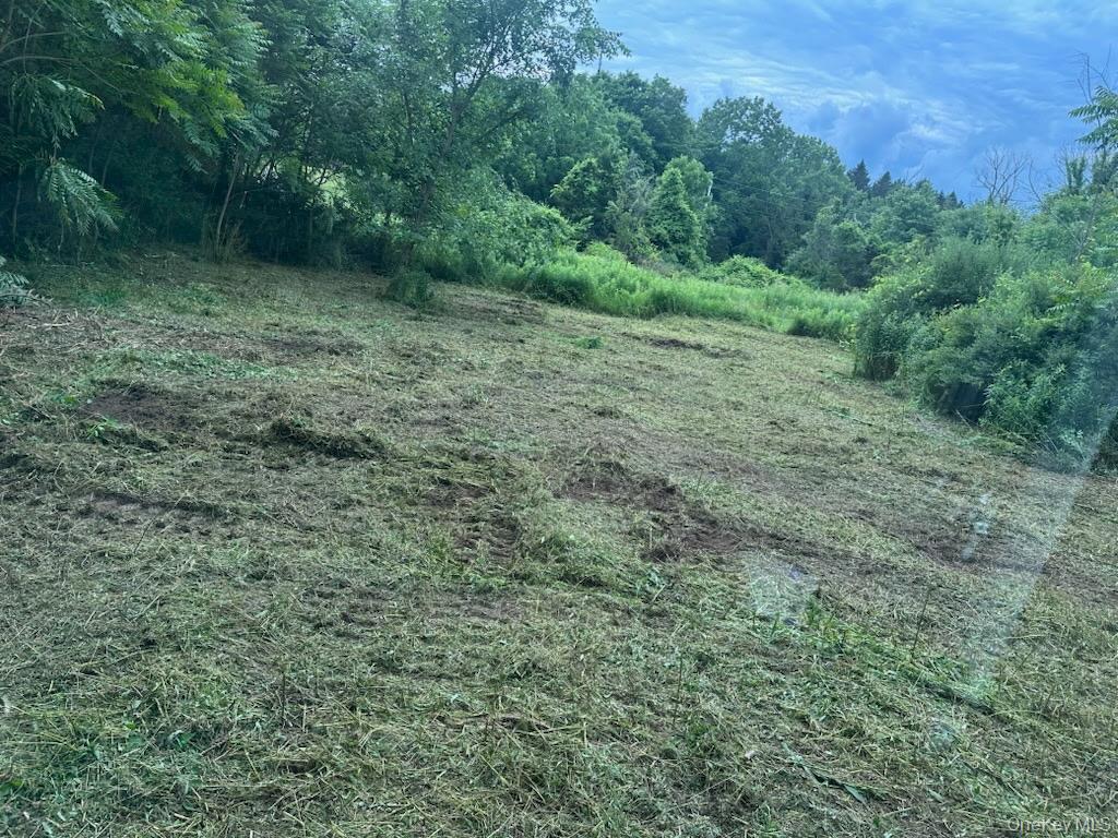Bells Pond Road Property Photo 5