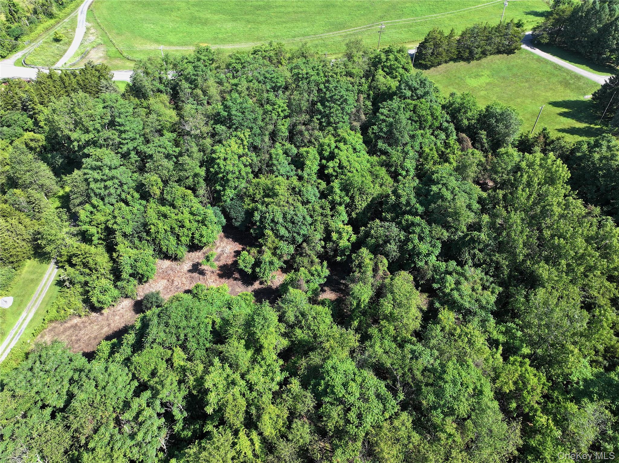 Bells Pond Road Property Photo 11