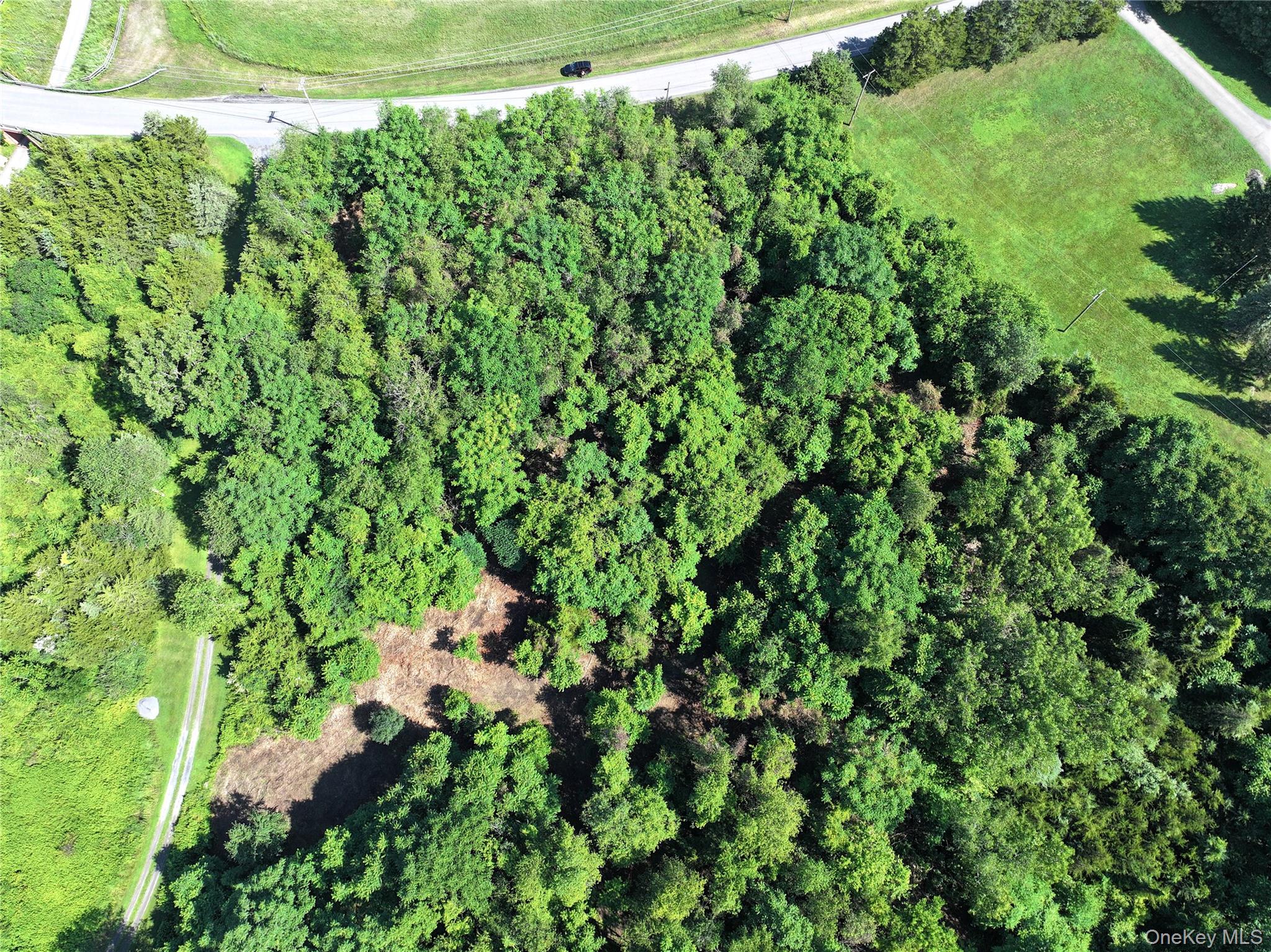 Bells Pond Road Property Photo 12