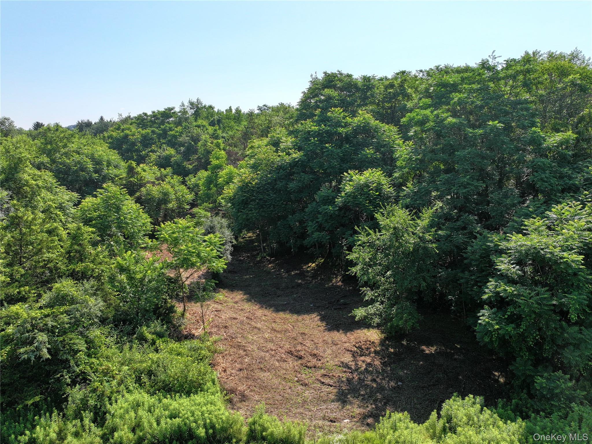 Bells Pond Road Property Photo 19