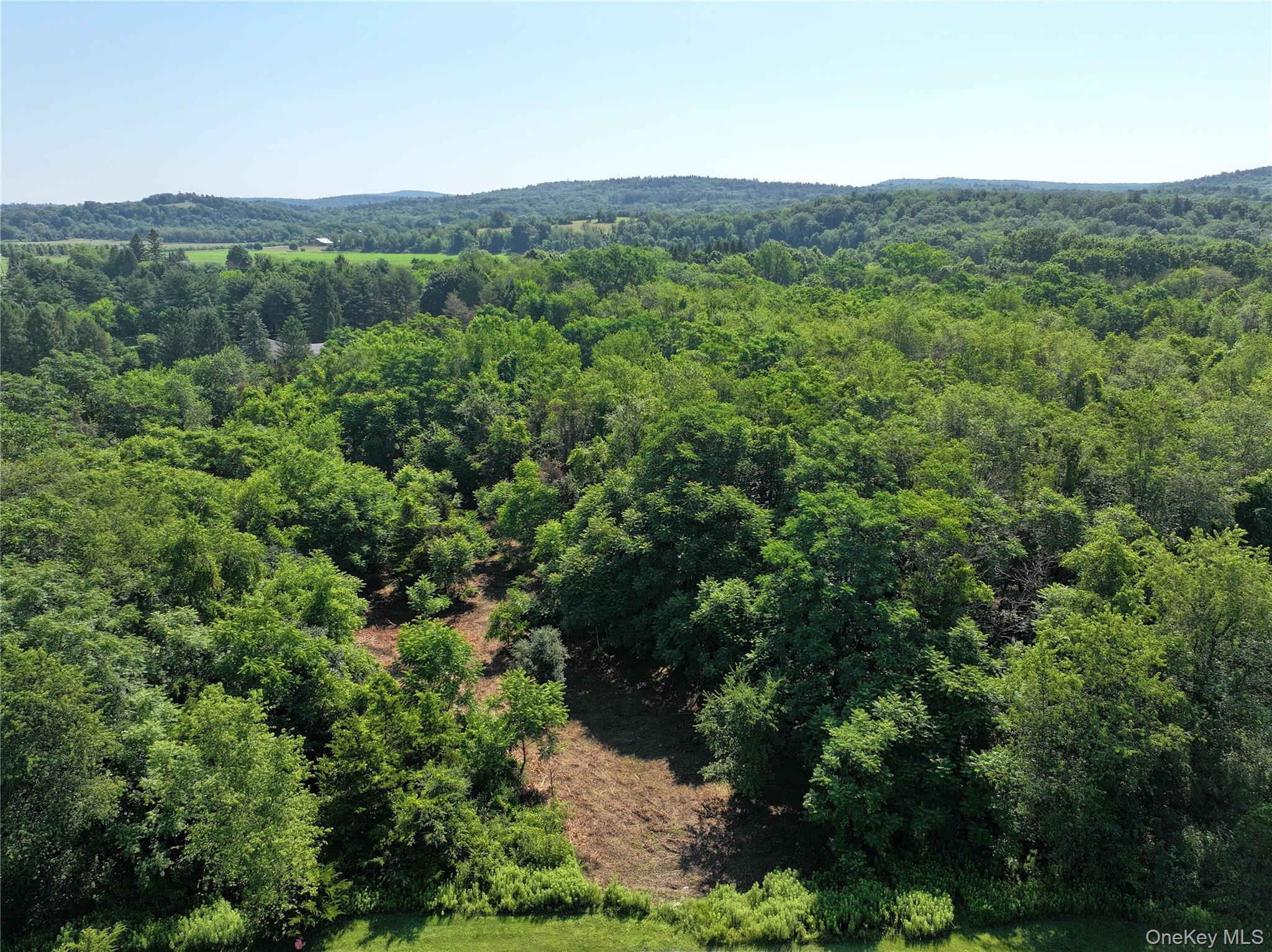 Bells Pond Road Property Photo 20