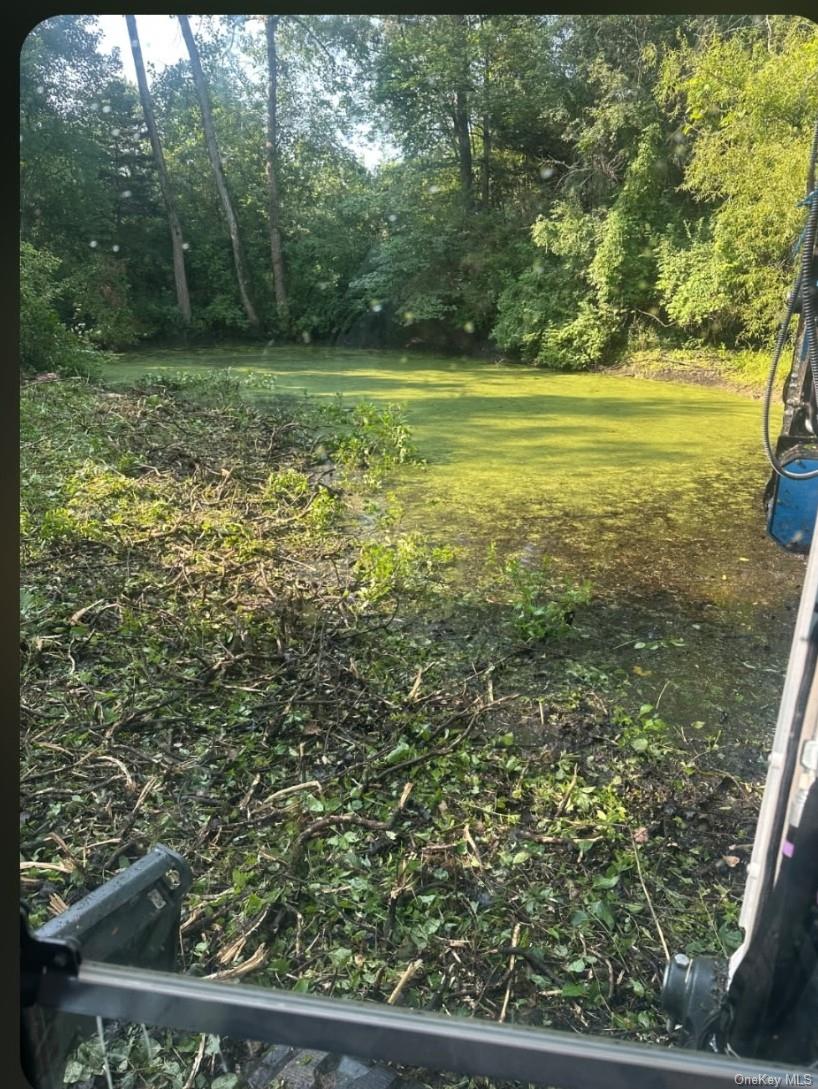 Bells Pond Road Property Photo 25