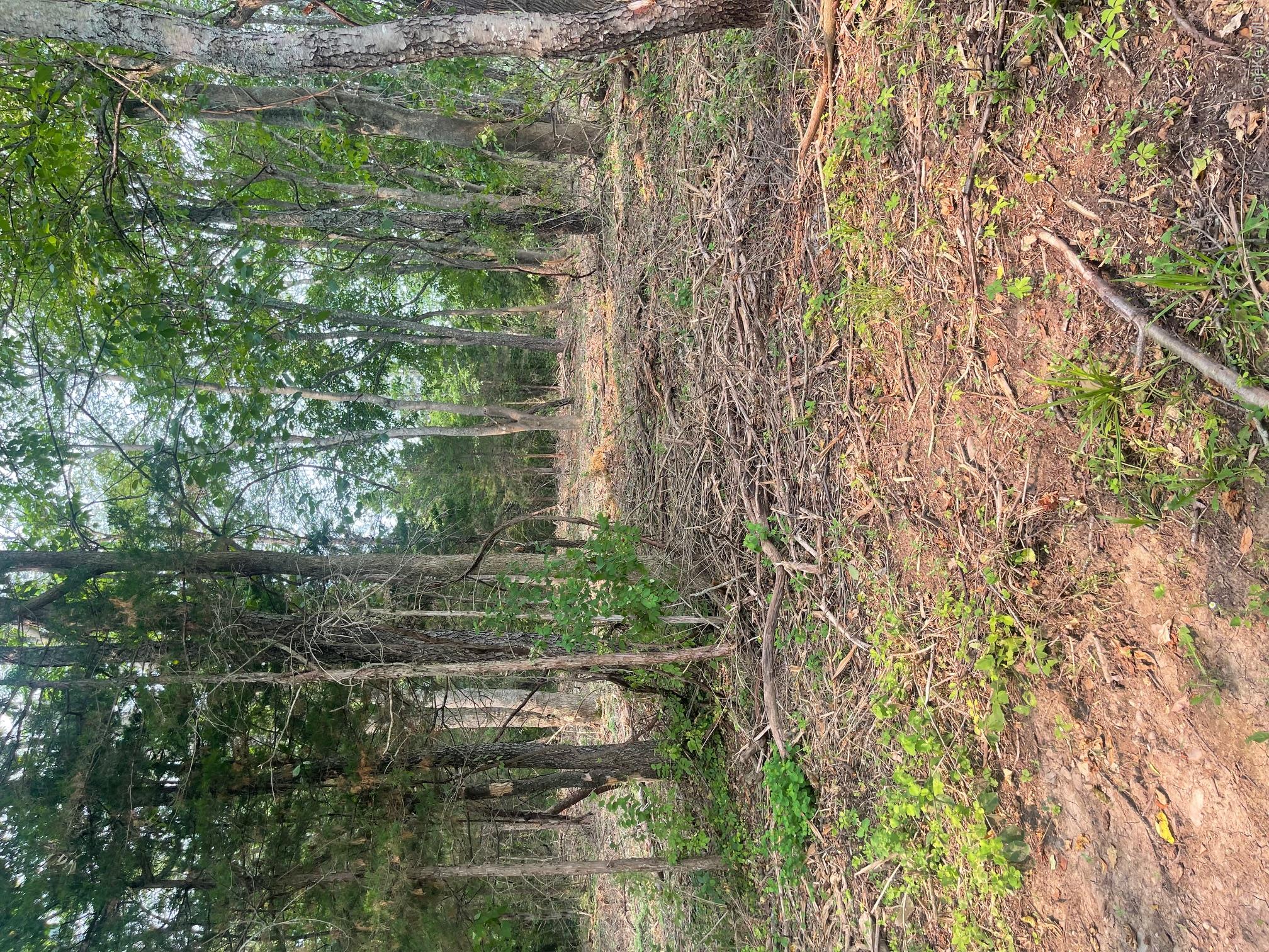 Bells Pond Road Property Photo 26