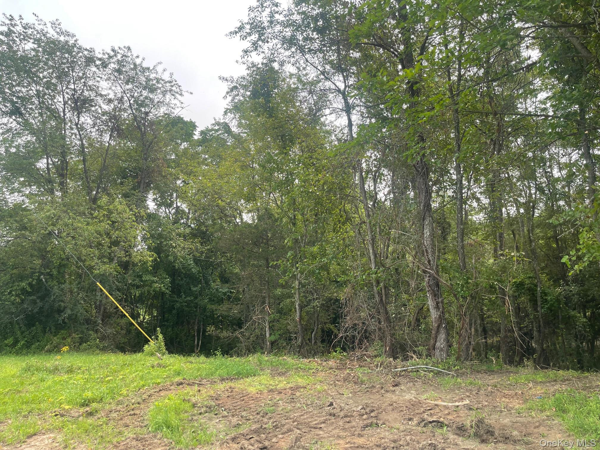 Bells Pond Road Property Photo 28