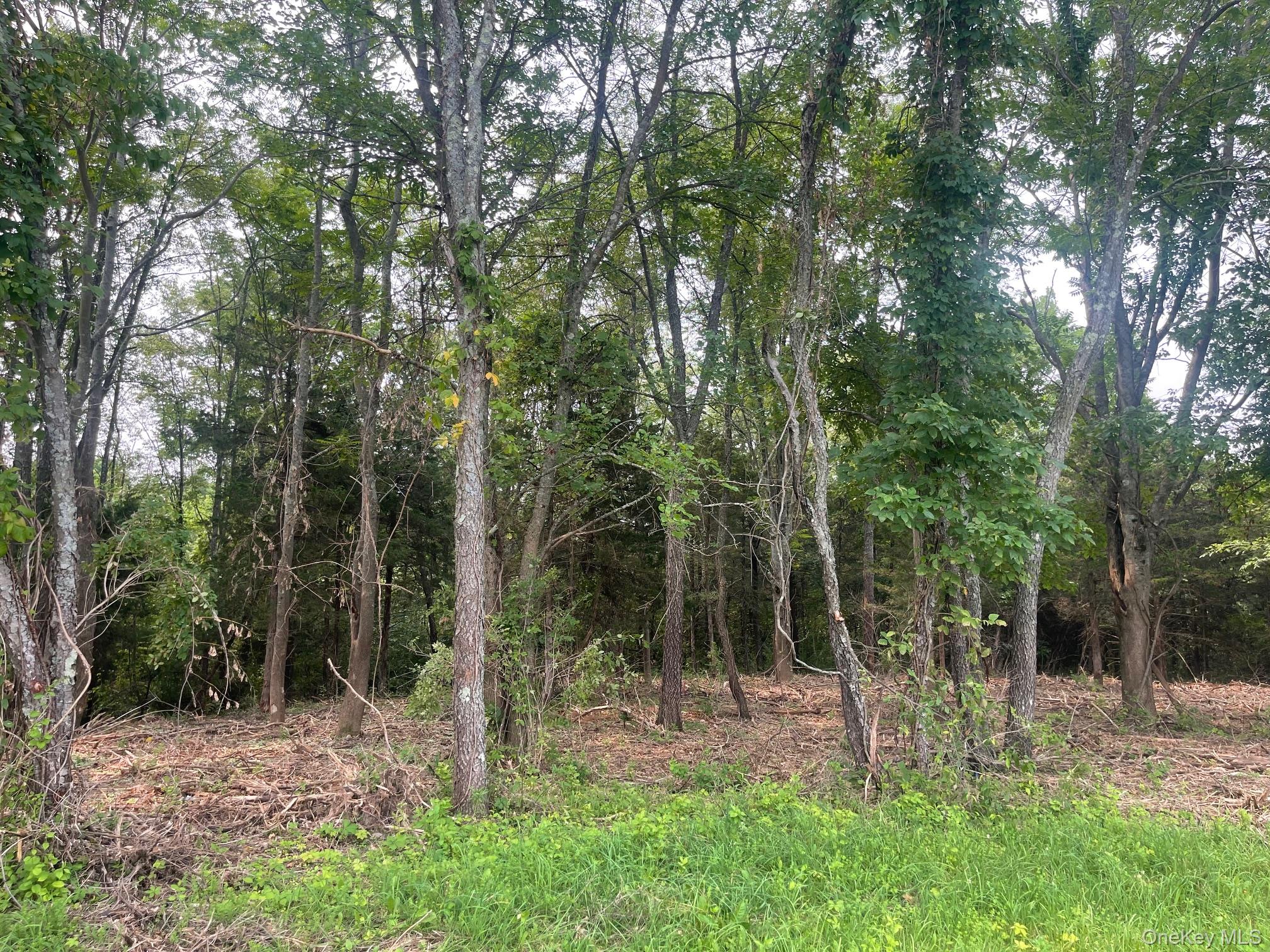 Bells Pond Road Property Photo 29