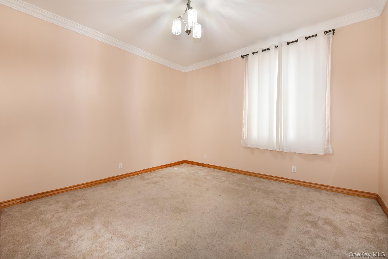 84-29 Kendrick Place Property Photo 13