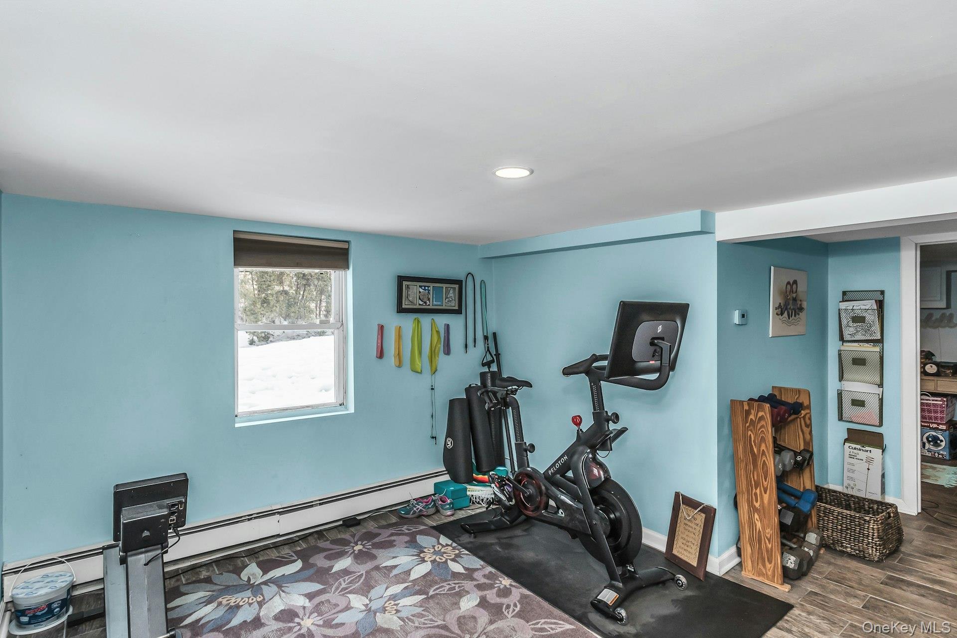 16 Altamont Avenue Property Photo 19