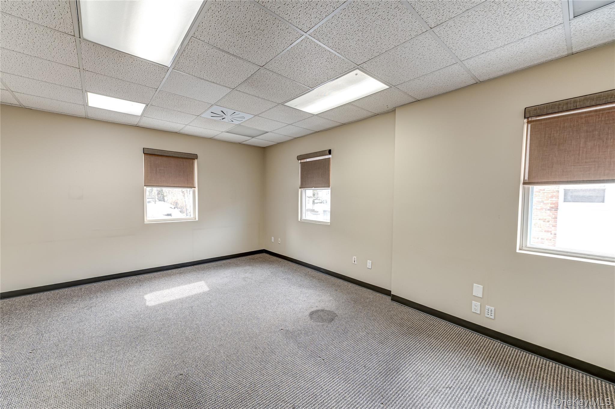 48 Elm Street Property Photo 14