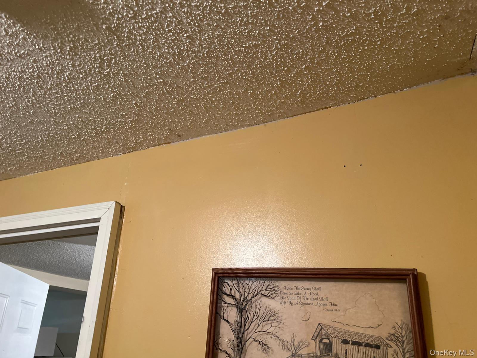 204 Ann Street Property Photo 4