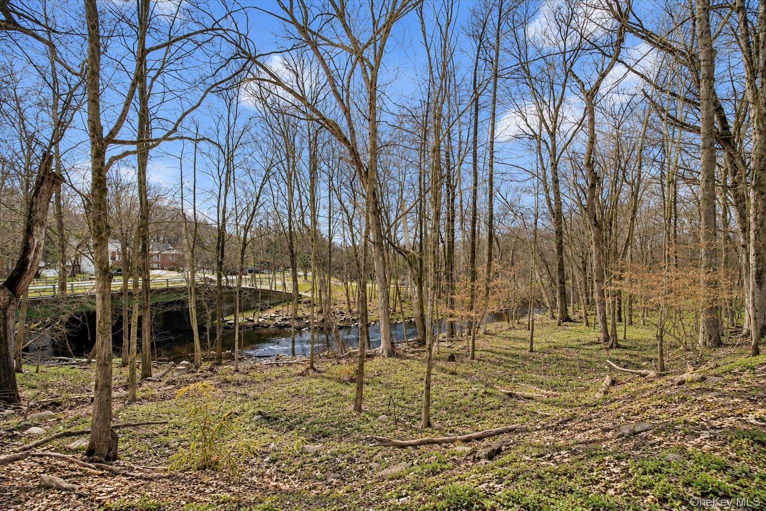 24 Johnsontown Road Property Photo 48